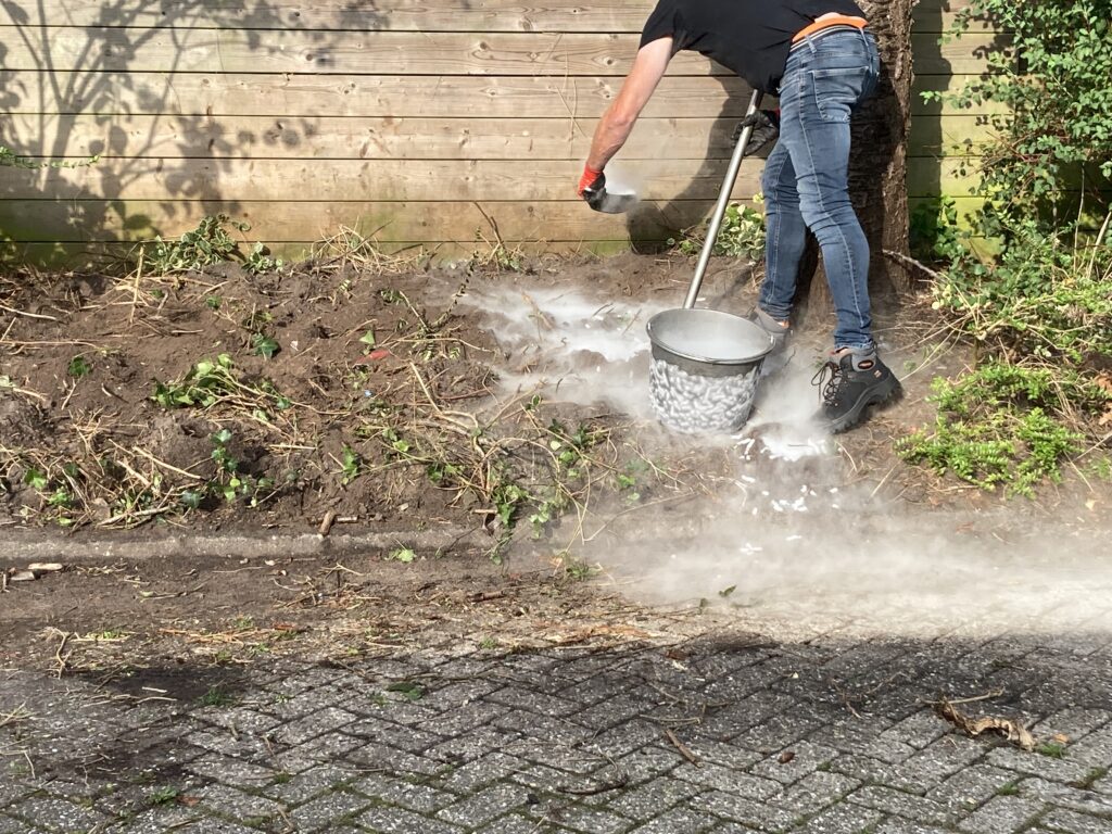 Project Japanse duizendknoop Smit Groenadvies