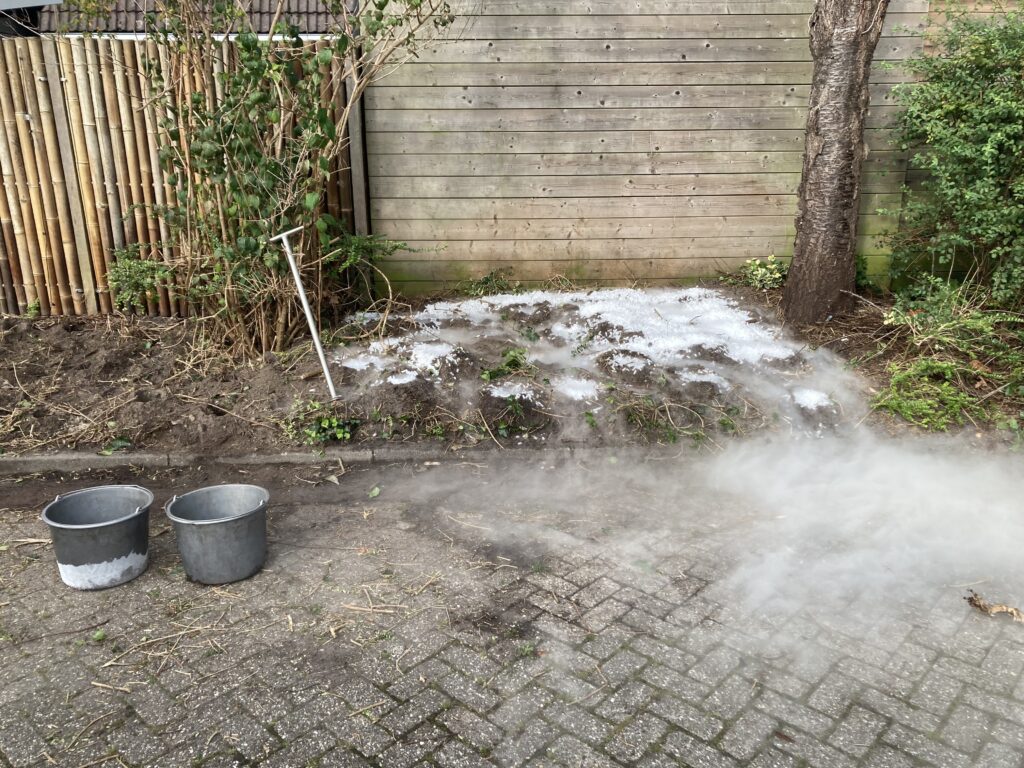 Japanse duizendknoop bevriezen