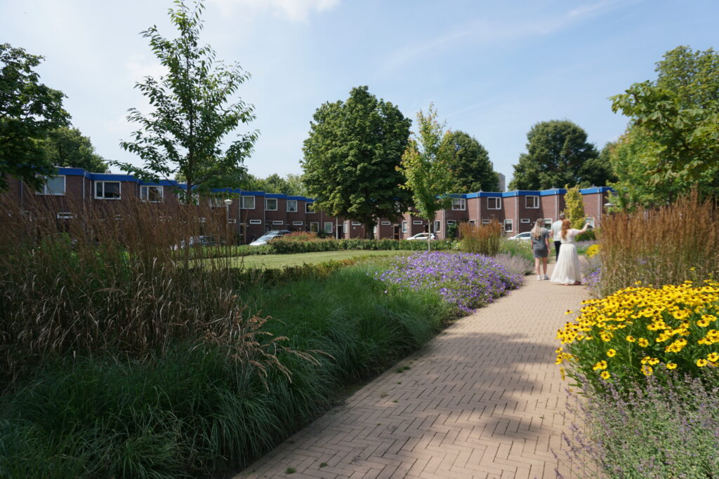 Duurzame leefomgeving