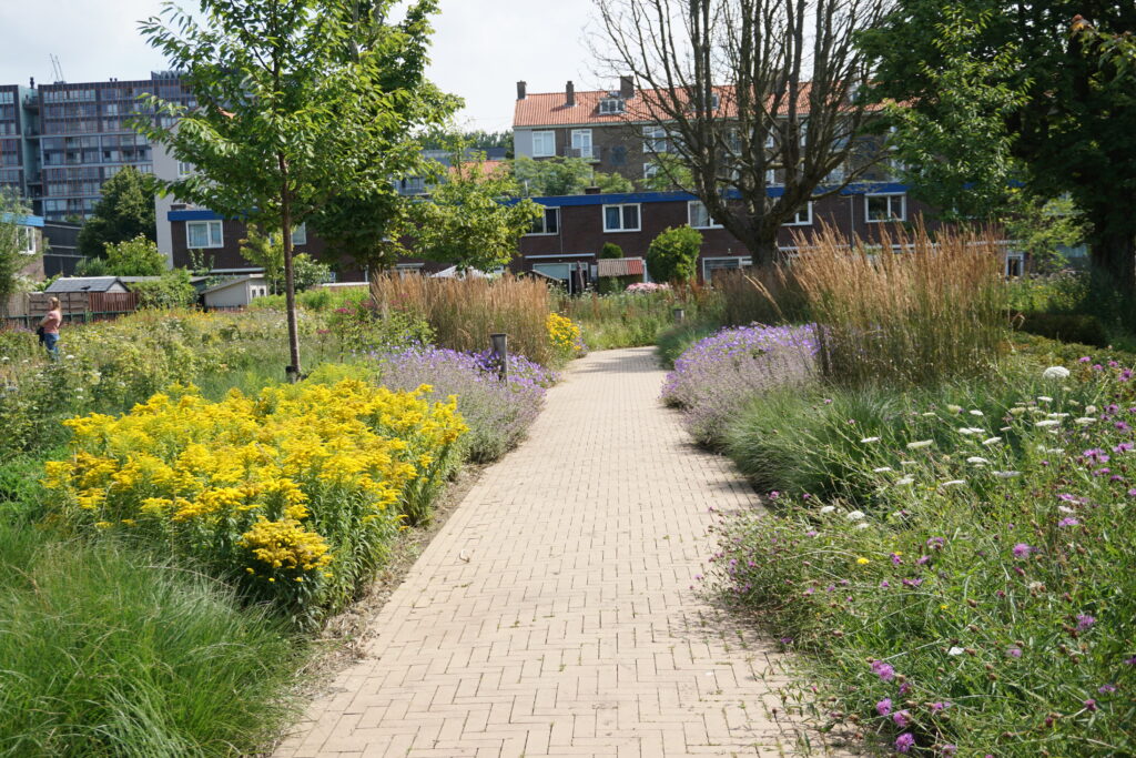 Geschikte beplanting