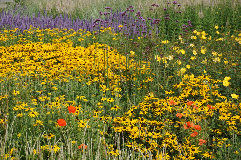 Planten in groen