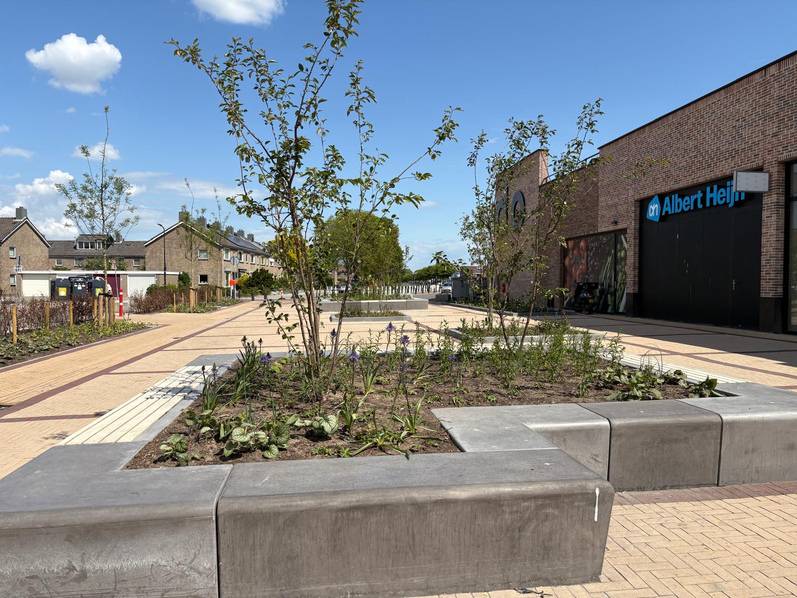 WhatsApp Image 2025-05-08 at 15.14.33 (3)