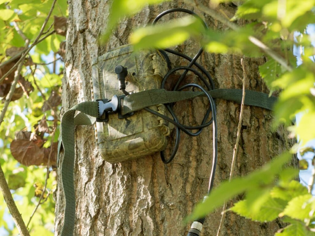 Ecologisch onderzoek