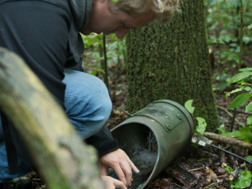 Ecologisch onderzoek uitvoeren