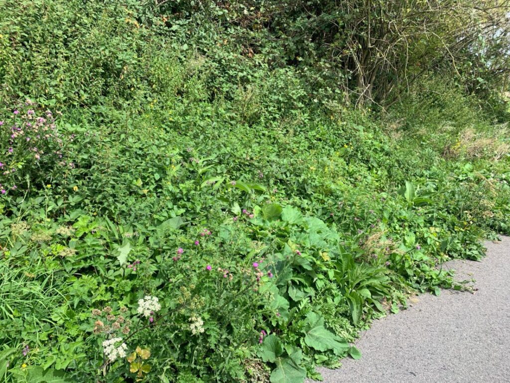 Klepelen van de berm