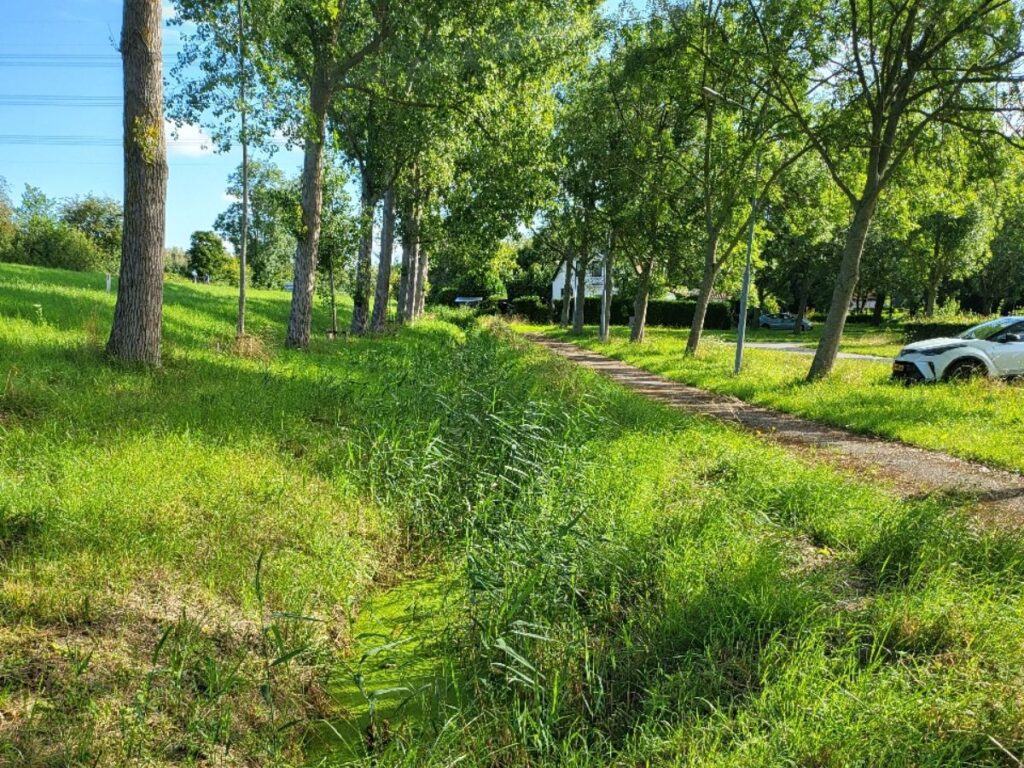 Berm gemeente Haarlemmermeer