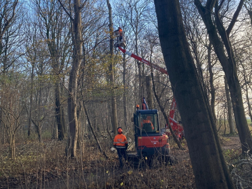 Bosschages Hollands Kroon 1