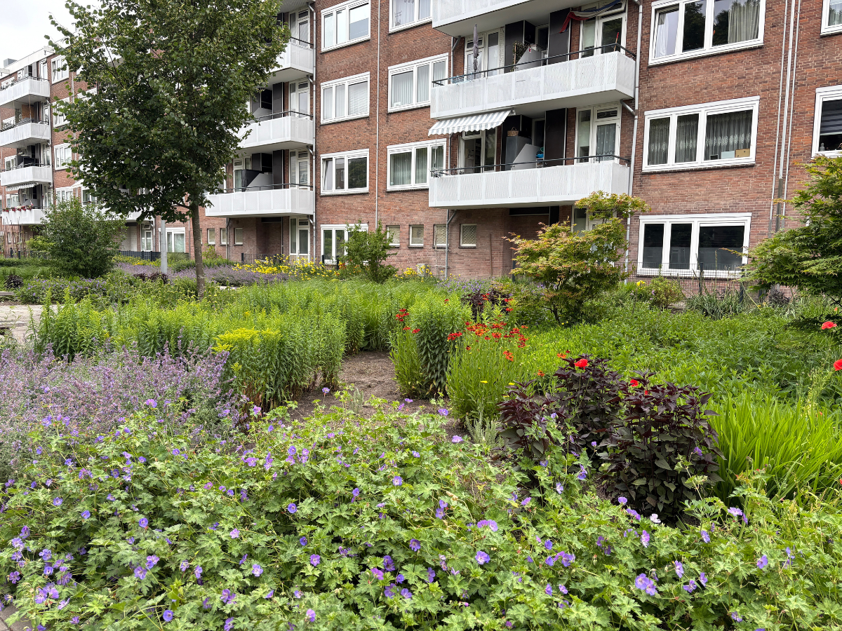 Reimerswaalbuurt complextuin Ymere 3