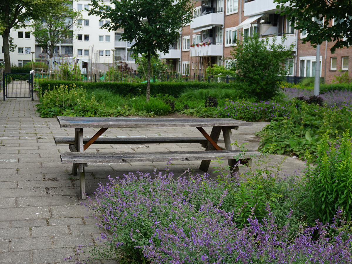 Reimerswaalbuurt complextuin Ymere 5