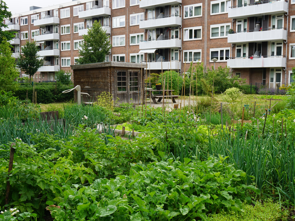 Reimerswaalbuurt complextuin Ymere 7