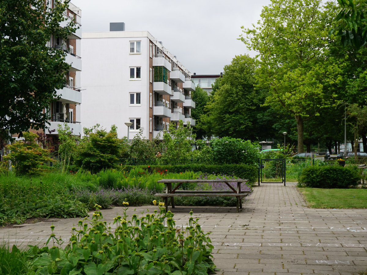 Reimerswaalbuurt complextuin Ymere 9