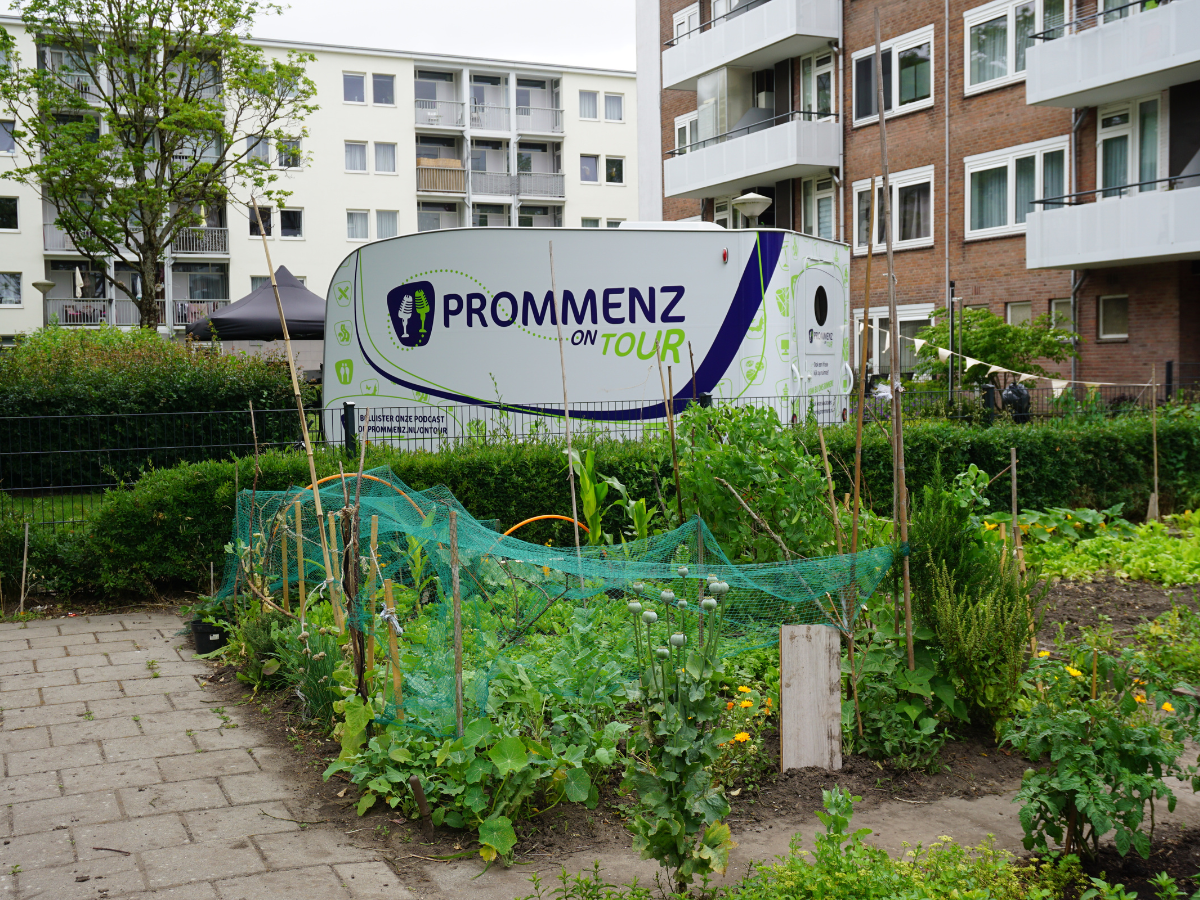 Reimerswaalbuurt complextuin Ymere 10