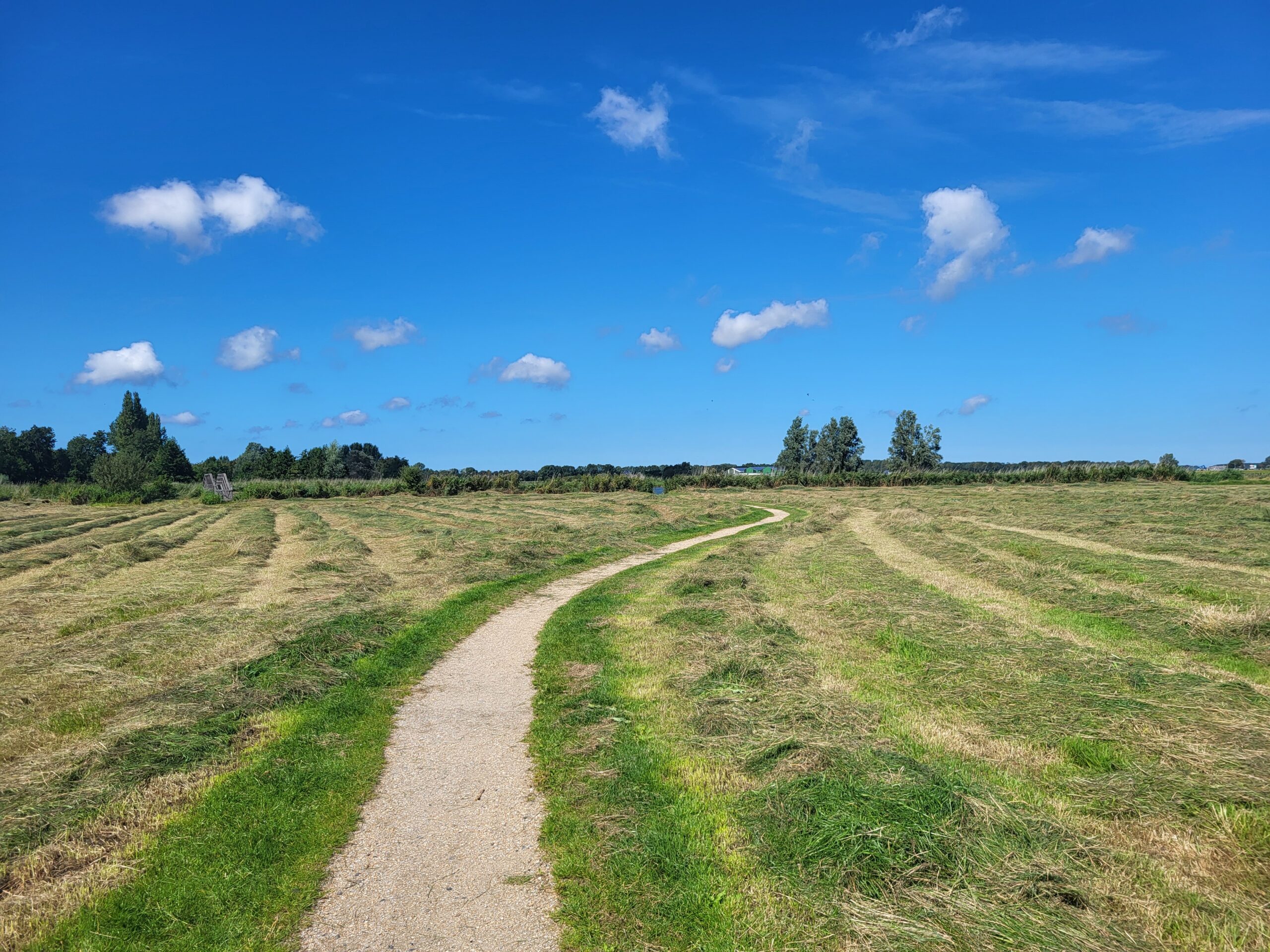 Bron: Jack de Bruin 3