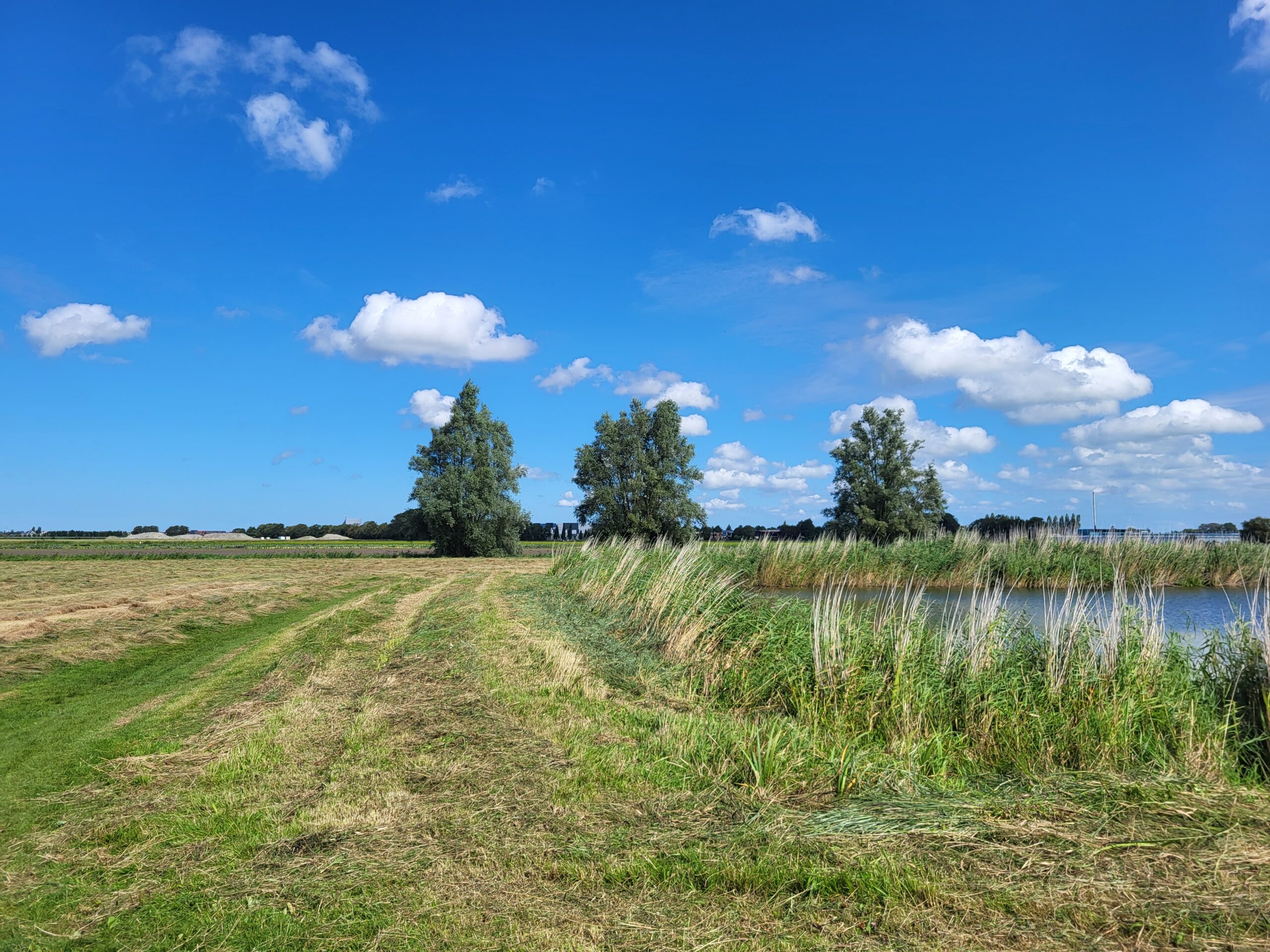 Bron: Jack de Bruin 1