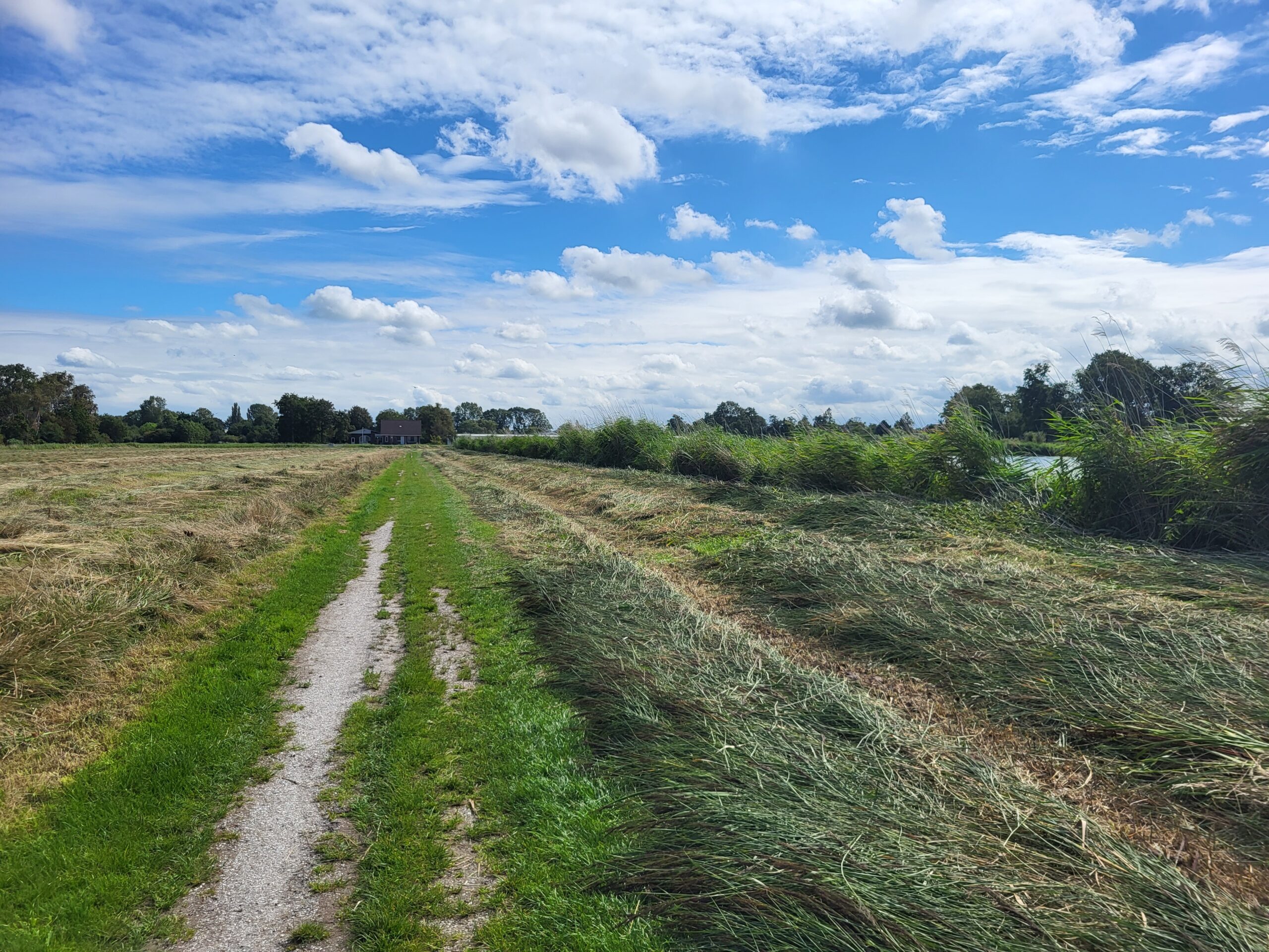 Bron: Jack de Bruin 2