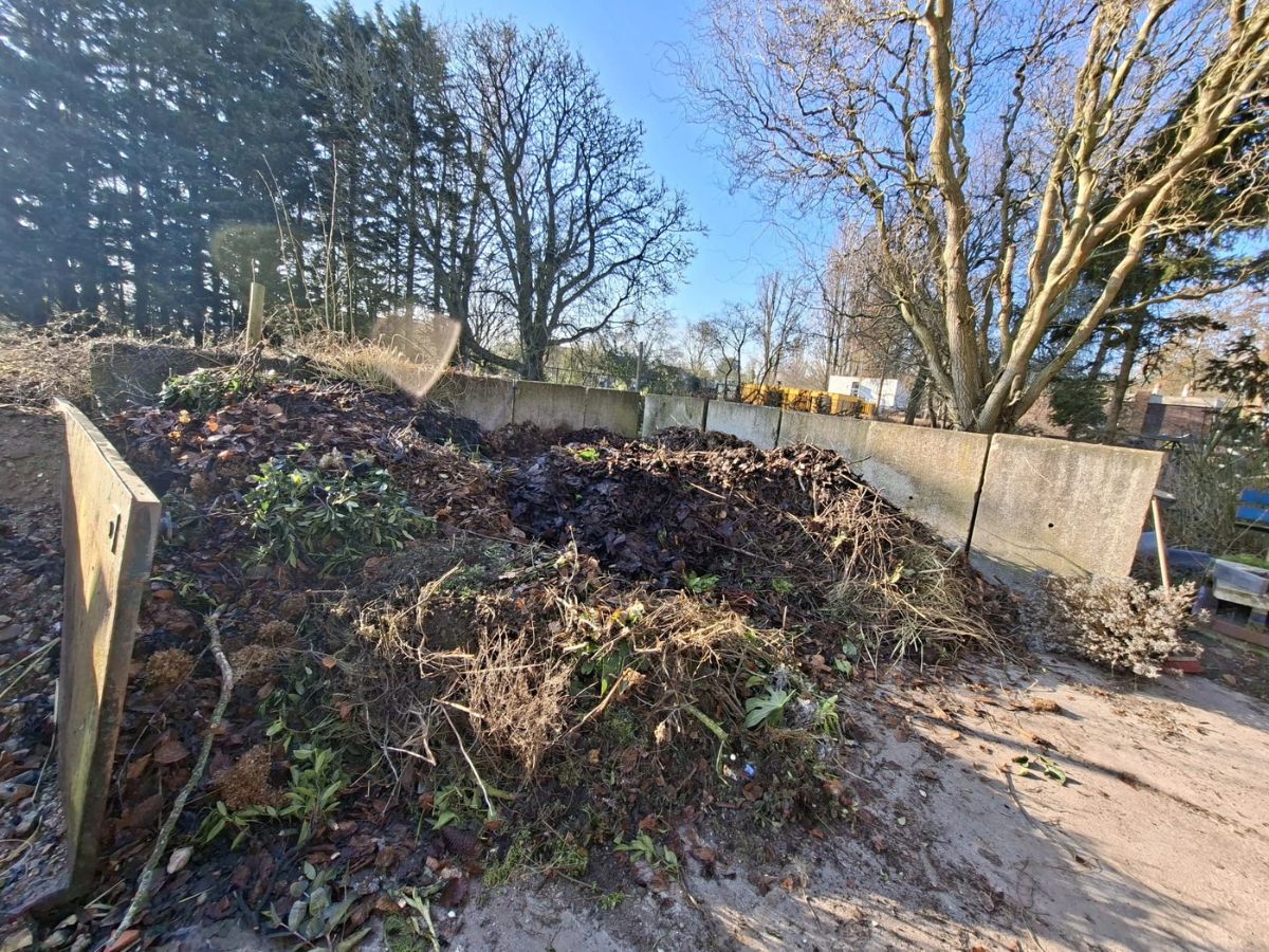 Ecologisch onderzoek ringslang en rugstreeppad gemeente Aalsmeer (3)