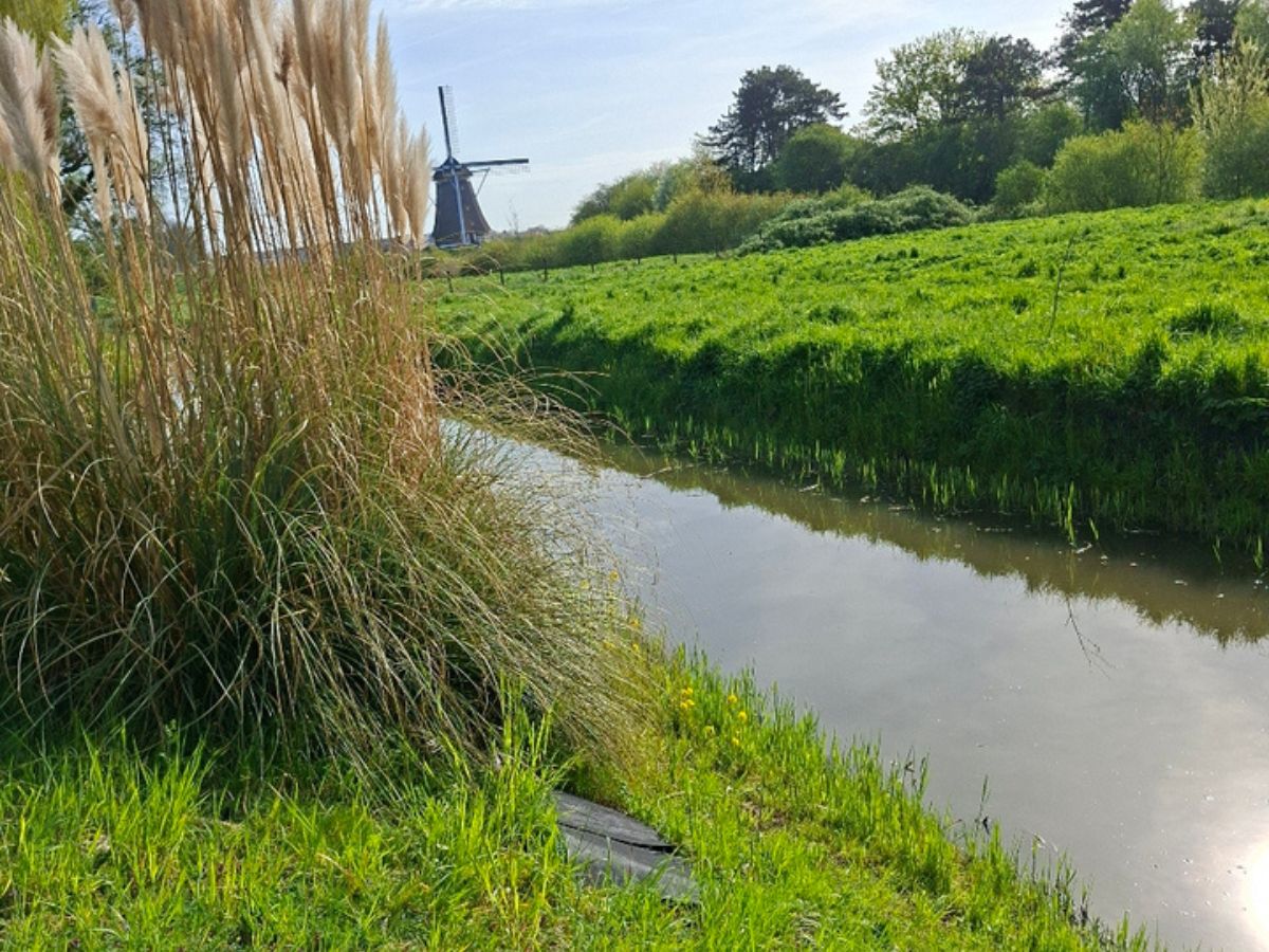 Ecologisch onderzoek ringslang en rugstreeppad gemeente Aalsmeer (1)