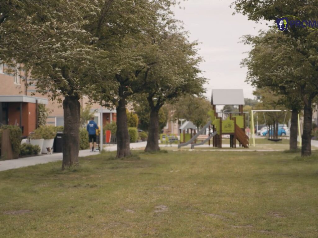 Bomen in woonwijk