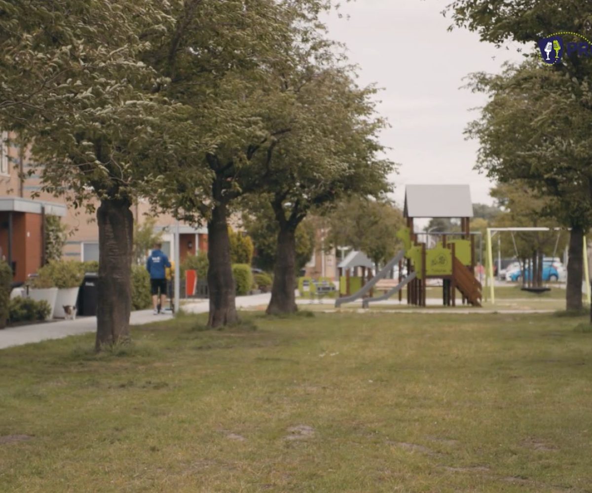 Bomen in woonwijk