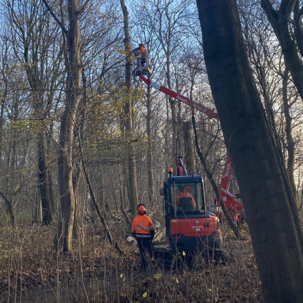 Bosschages Hollands Kroon 1