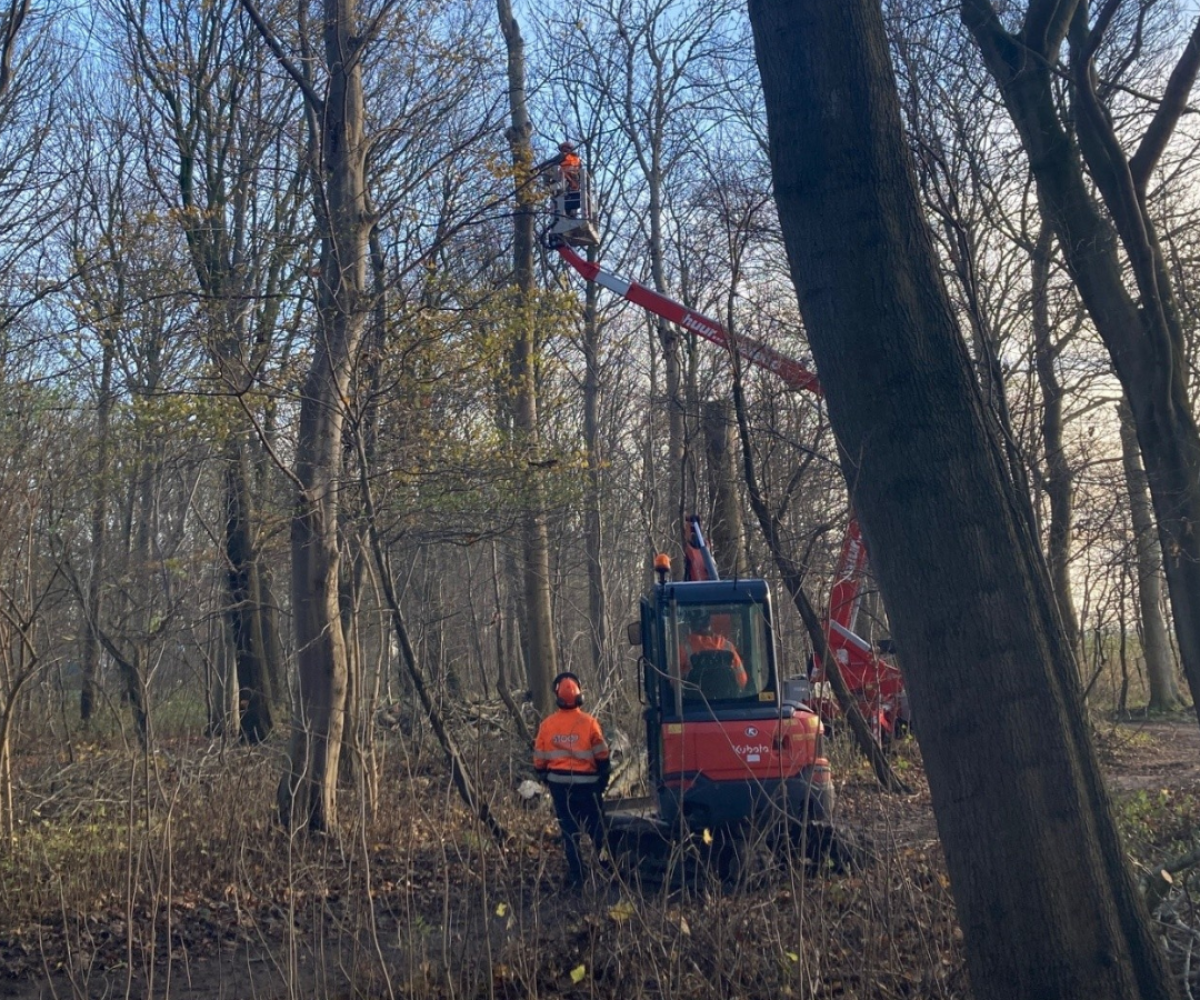 Bosschages Hollands Kroon 1