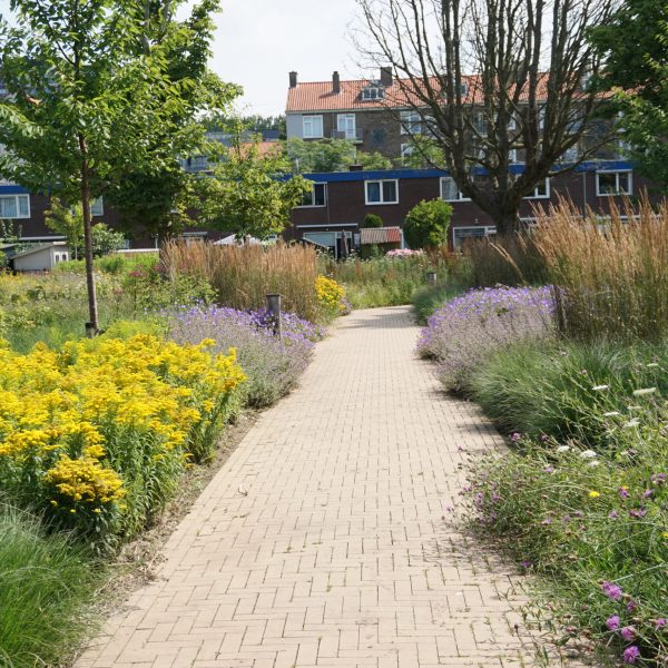 Geschikte beplanting