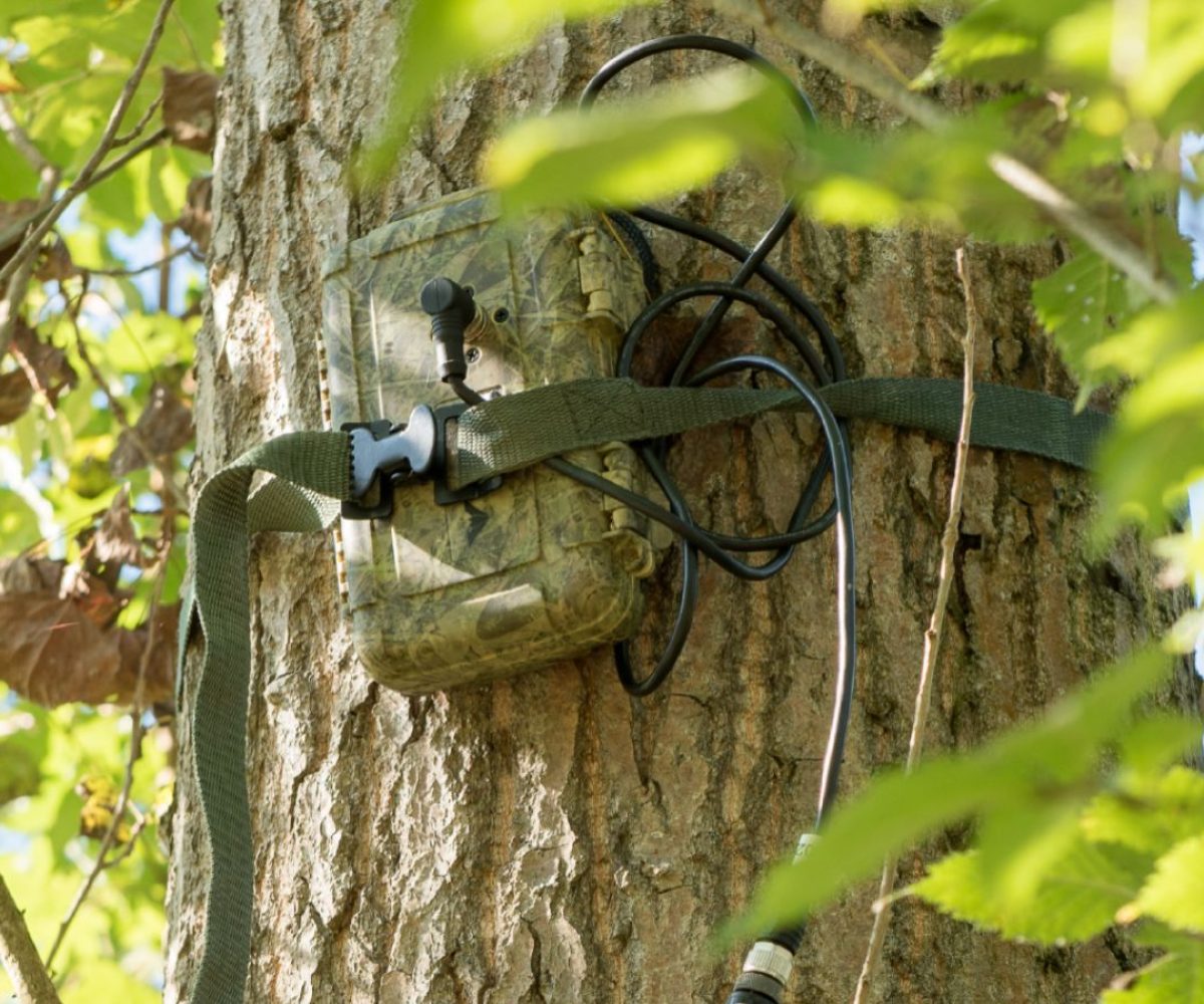 Ecologisch onderzoek