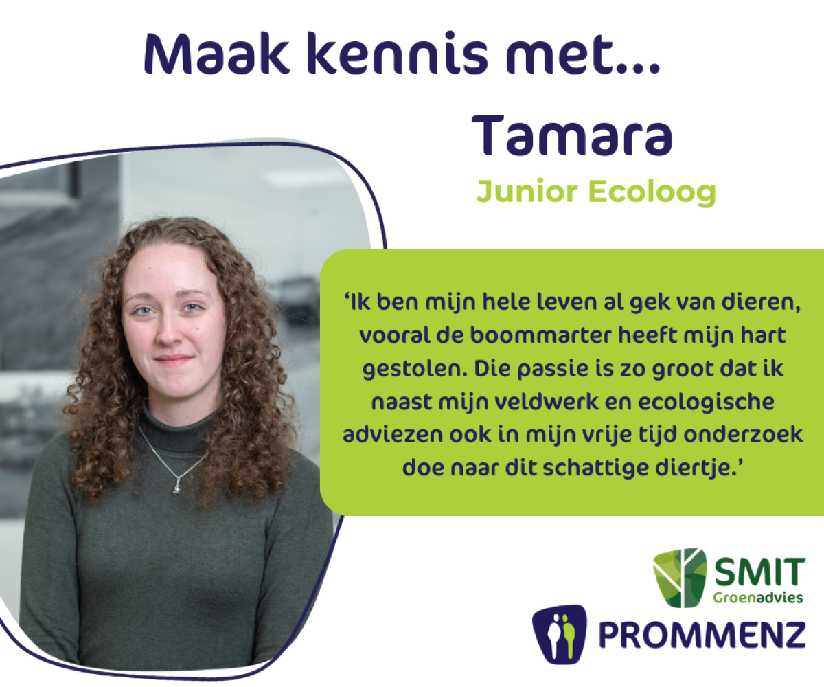 Maak kennis met Tamara