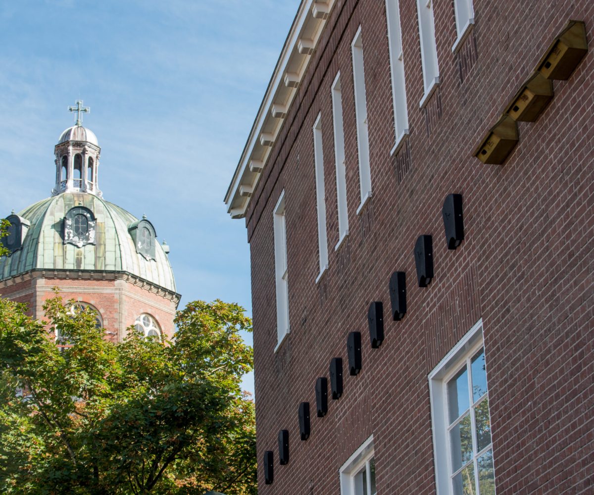 Museum Hoorn vogelhuisjes