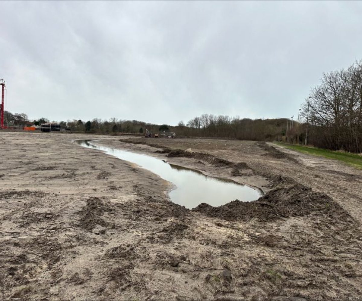 Pollenveld 5 februari 2024 JS